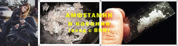 СК Алексин