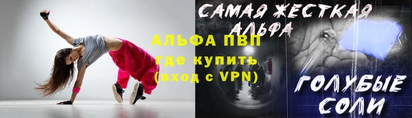 СК Алексин