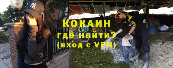 СК Алексин
