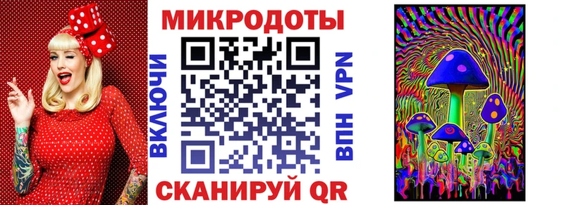 купить закладку  Волхов  Галлюциногенные грибы Magic Shrooms 