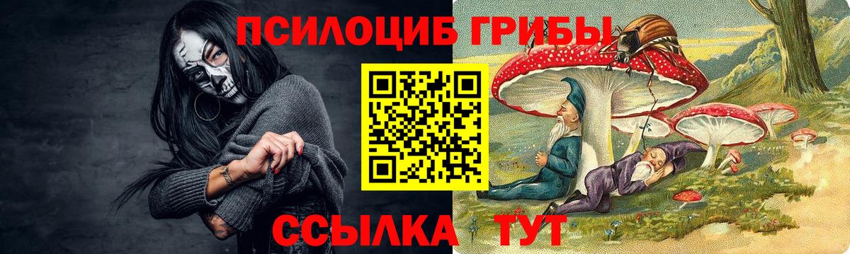 Волхов  Галлюциногенные грибы ЛСД  Вход с VPN 